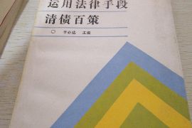 巴塘为什么选择专业追讨公司来处理您的债务纠纷？